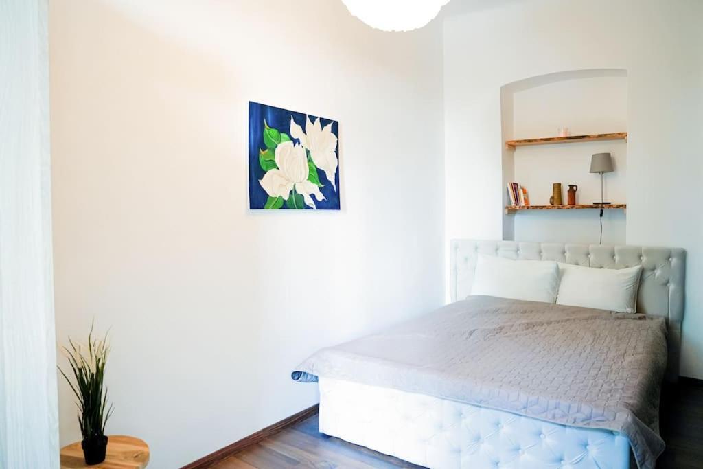 Apartment Ruhige Naehe U Bahn Free Parking Wien
